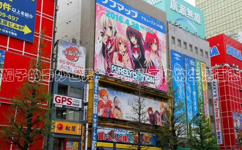 漫蛙manwa2官方网页入口在线阅读